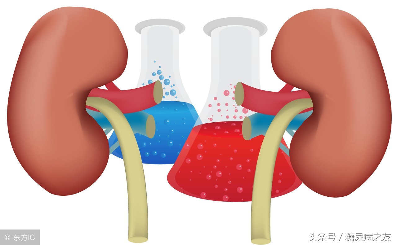 5个方法,帮我逆转了糖尿病肾病,现在我的肾脏好好的