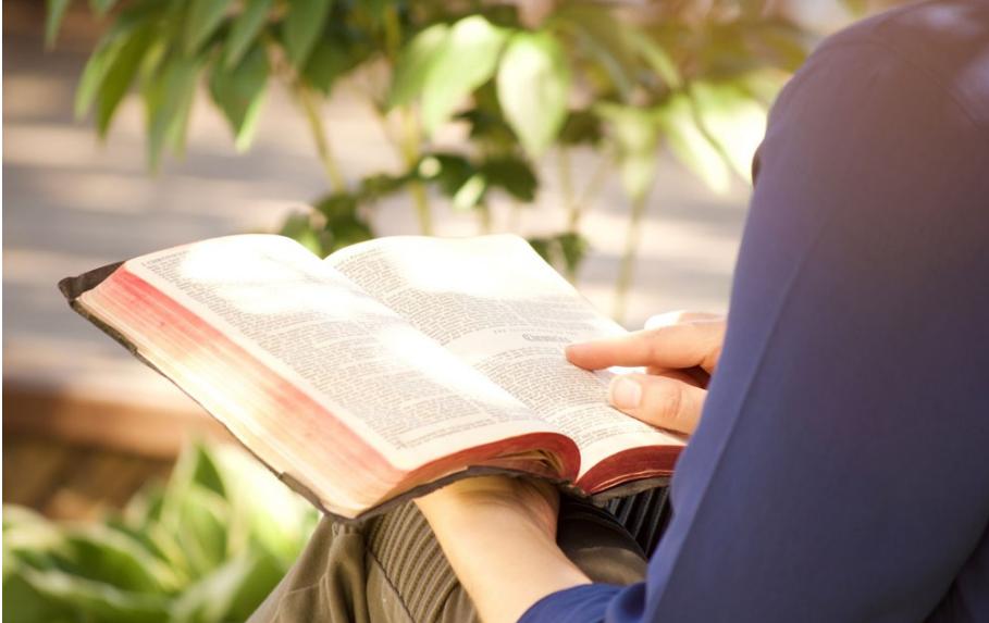 高薪冷门职业有哪些,高薪冷门职业怎么报名