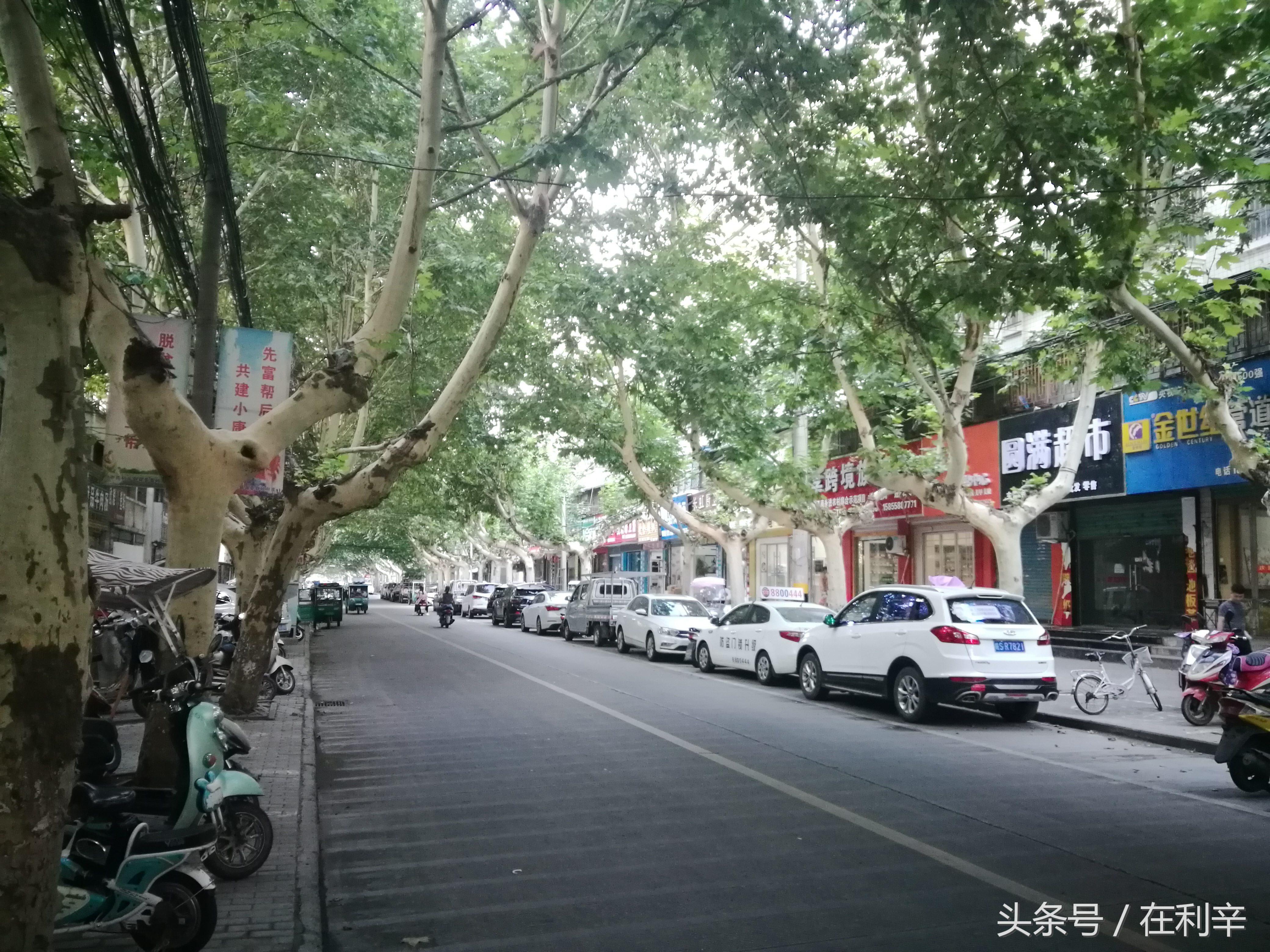 利辛日常生活,亳州利辛县日常生活