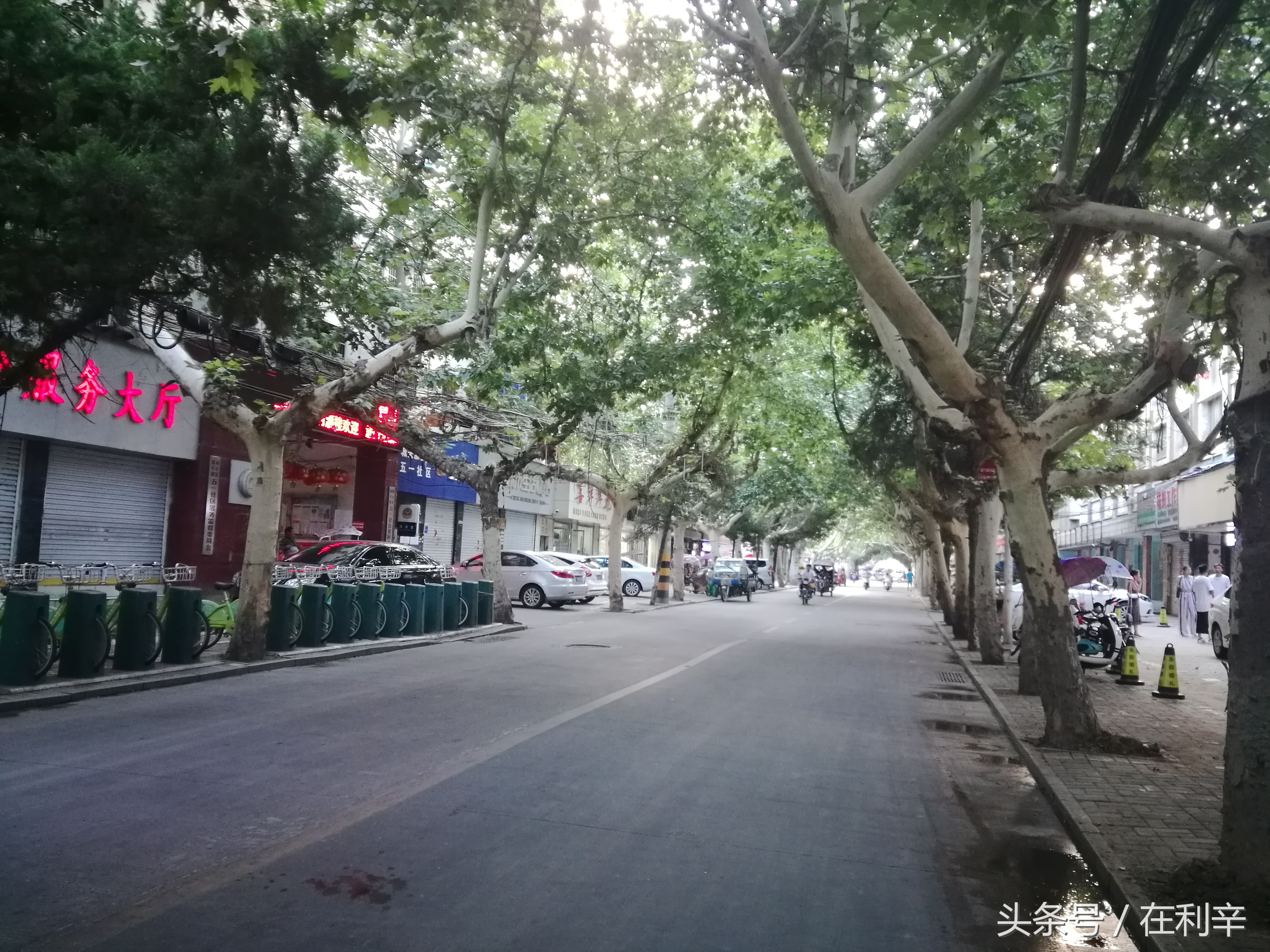 利辛日常生活,亳州利辛县日常生活