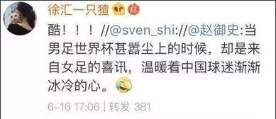 澶璇勪环涓浗鐢疯冻,娉版．璇勪环涓浗鐢疯冻