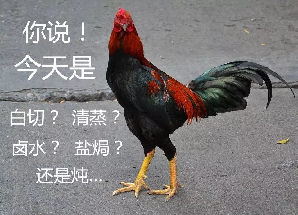 洗碗的六个坏习惯视频,洗碗的习惯和禁忌