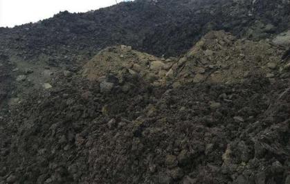 发酵好的鸡粪肥会烧苗吗,发酵鸡粪加硫铵烧苗吗