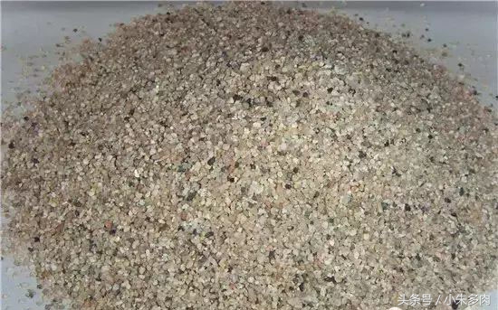 多肉颗粒土直播,多肉颗粒土批发