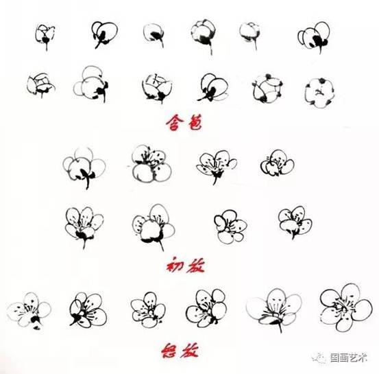 转画教学,中国画零基础入门画梅花