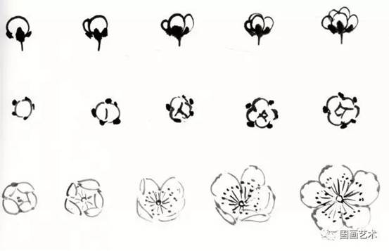 转画教学,中国画零基础入门画梅花