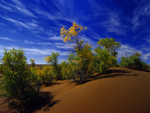 乌鲁木齐到s101自驾游最佳路线图,乌鲁木齐到西安自驾游最佳路线图