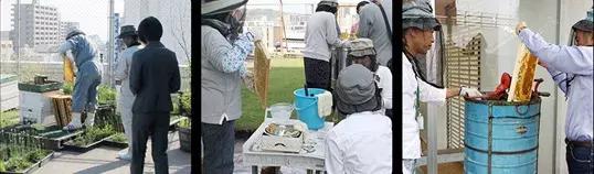 日本第四次消费来临,日本为什么出现第四消费时代