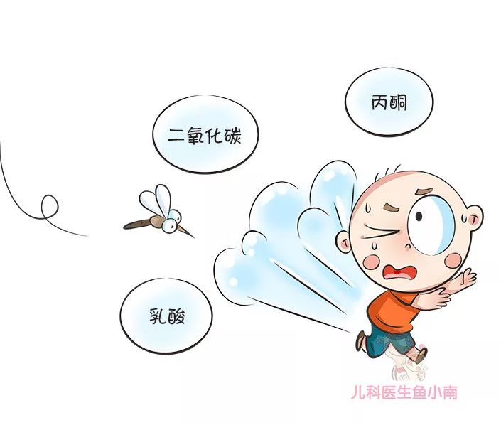 夏天宝宝外出怎么防蚊？医生：最简单最管用的办法就是这6个