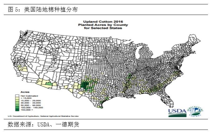 棉花期货郑棉跟随美棉涨跌,棉花郑棉期货最新走势图