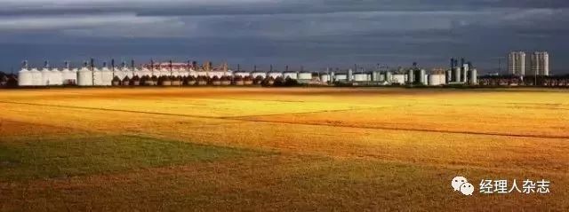 垄断全球粮食的四大粮商,四大粮食巨头与中国较量