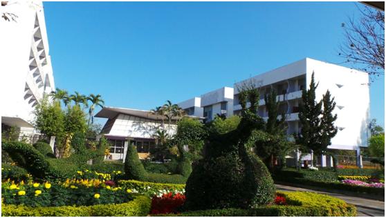 清迈大学和马来亚大学哪个好,清迈大学没车怎么玩