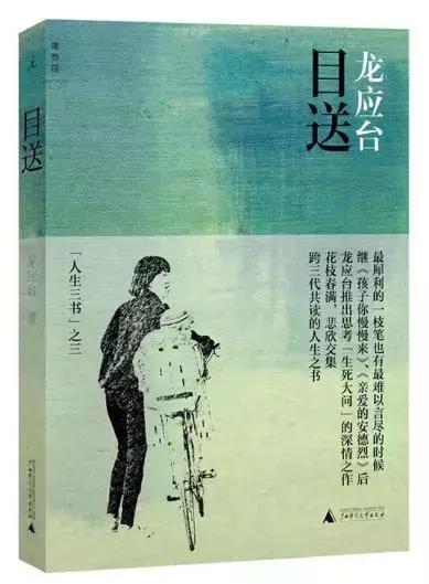 龙应台目送摘抄,龙应台目送正版书籍