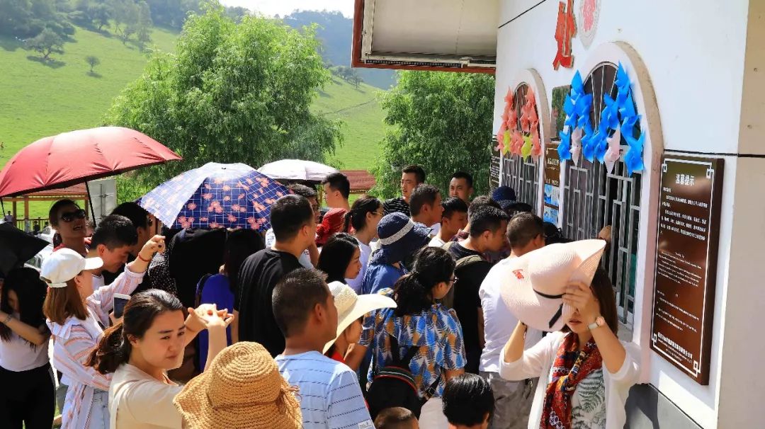 人从众的模式,人从众