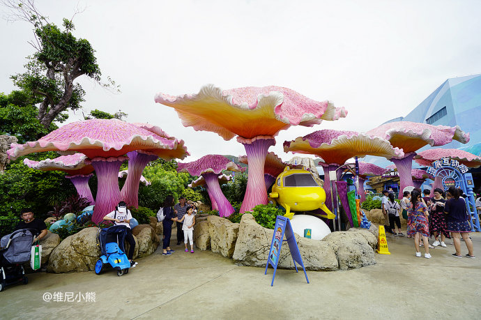 暑假珠海长隆最全游玩攻略,珠海长隆海洋王国暑假门票多少钱