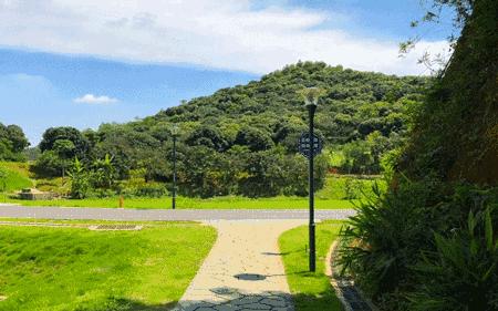 深圳最新的一个超级公园,深圳美景免费景点