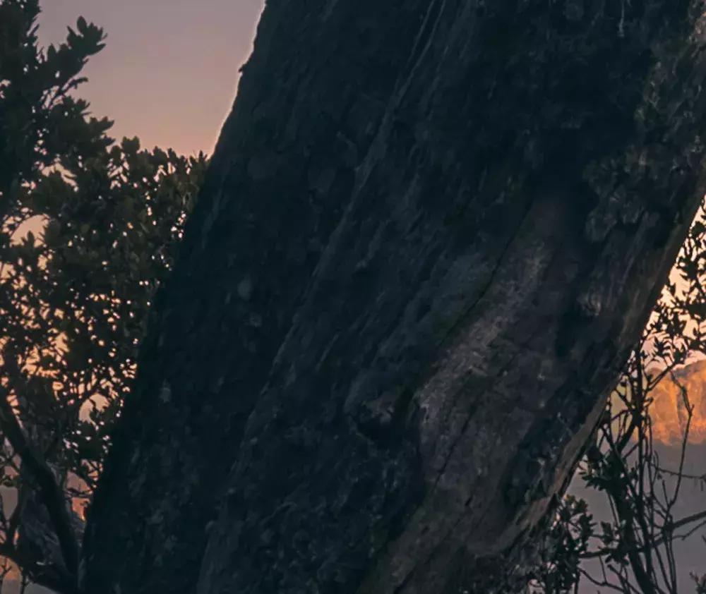 ps中图层混合模式的颜色减淡原理,ps怎么使用图层混合模式处理图片