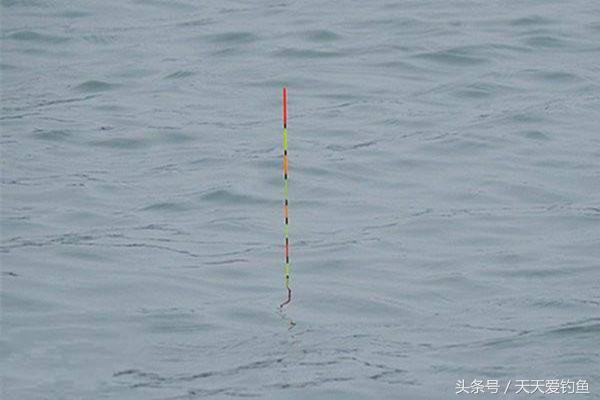 钓鱼时应该怎么选择浮漂,钓鱼老手都说调漂桶没有用实话吗