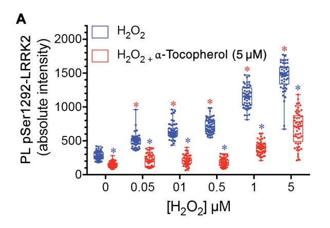 《科学》子刊：科学家首次证实正常的LRRK2基因也会促进帕金森病，90%发病原因不明的患者或许也有救了｜科学大发现