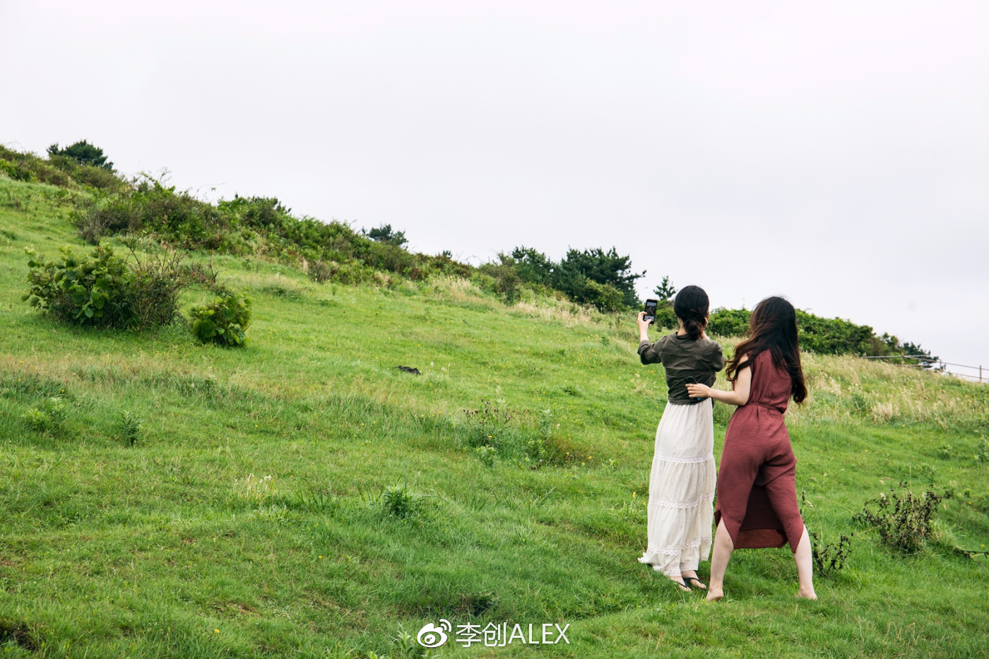 济州岛即将上演的童话世界,去济州岛旅行的感受