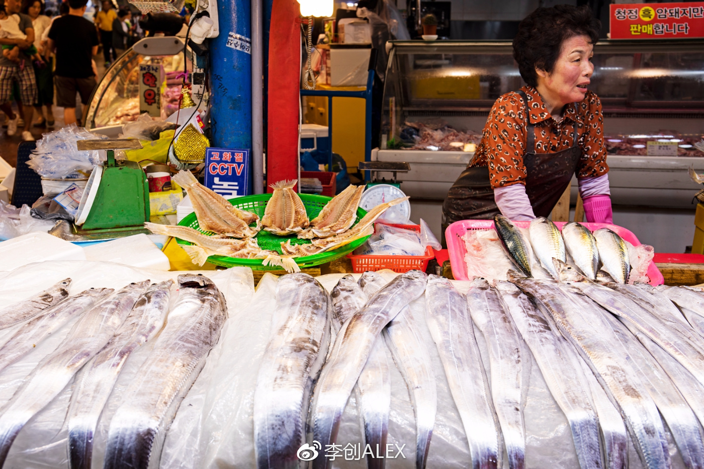 济州岛即将上演的童话世界,去济州岛旅行的感受
