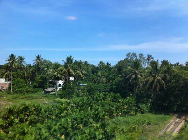 三宝妈妈三亚旅游,三宝妈妈三亚