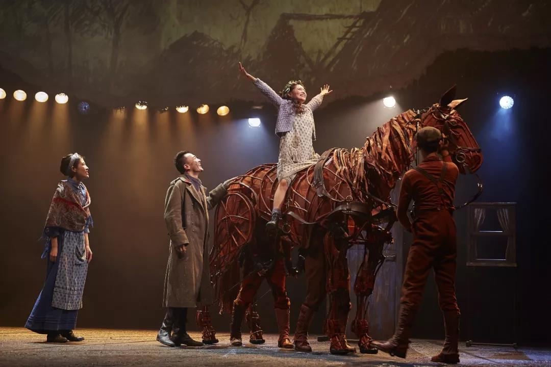 我采访了“马头”、“马前腿”和“马后腿”｜《战马》幕后