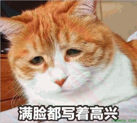 眼妆专用卸妆巾,眼妆专用卸妆巾可以用在什么地方