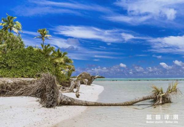 蓝莓评测｜全球60个海岛评测，假期选岛就看这一篇（上）