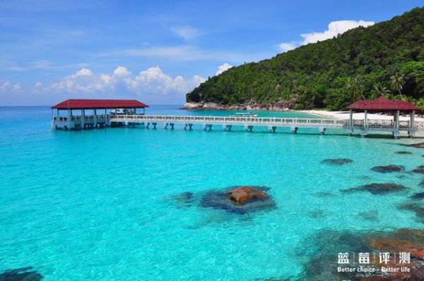 蓝莓评测美国蓝莓,蓝莓评测