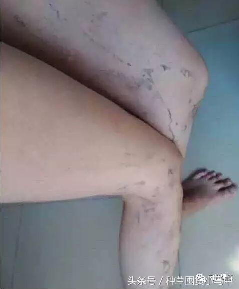 打假网红有哪些,揭露卖假货的网红是谁