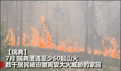 2019年北极圈罕见高温,北极出现三十多度高温