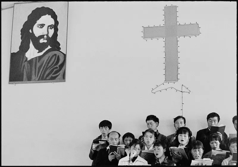 云南奇葩,云南奇葩视频