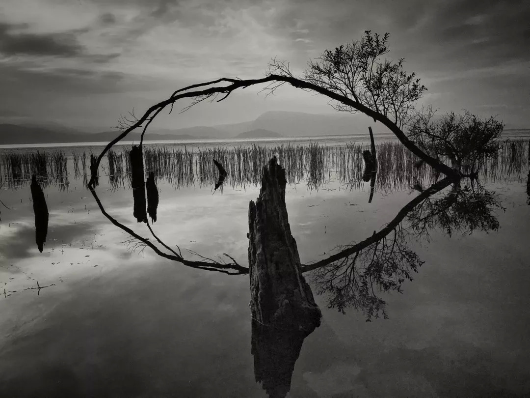 云南奇葩,云南奇葩视频