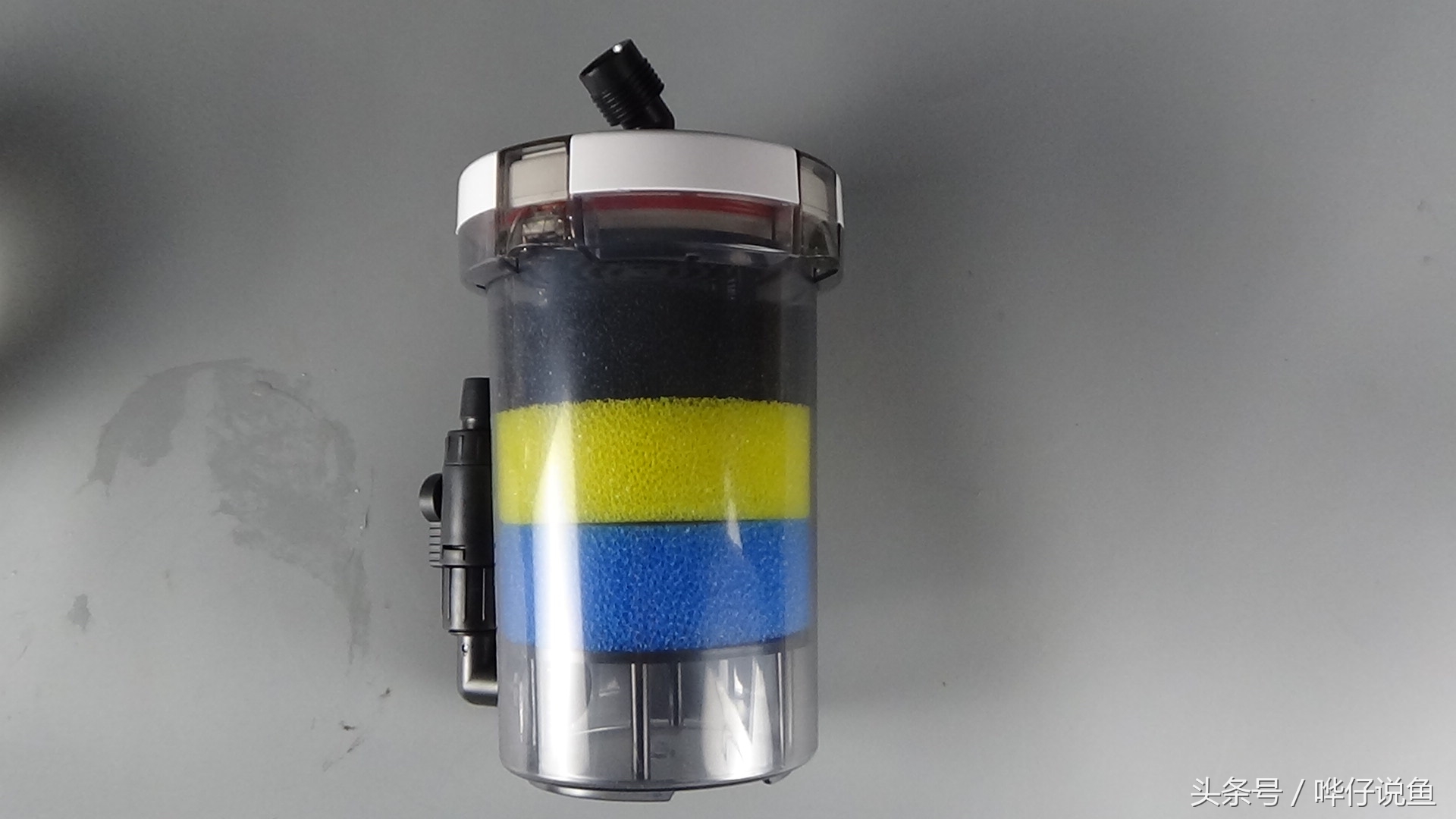 鱼缸自带过滤盒怎么养好鱼,观赏鱼鱼缸过滤最好的办法