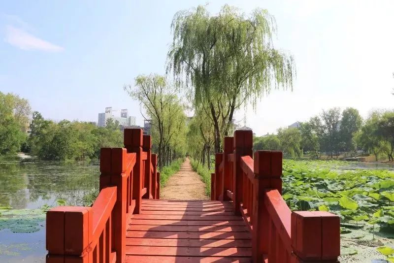 终于等到你的另一种表达,终于等到你内在的含义