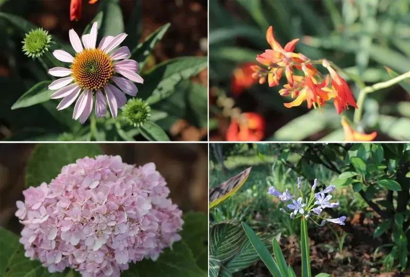 终于等到你的另一种表达,终于等到你内在的含义