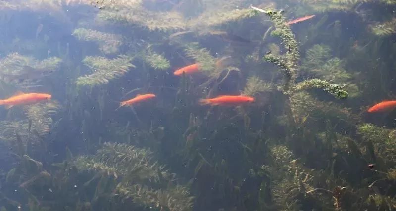 终于等到你的另一种表达,终于等到你内在的含义