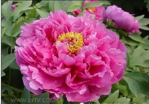 8.8发财日的祝福,8月18日发财日早安祝福图片