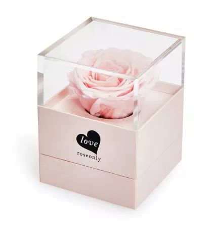 loveroseonly全新上市｜我把花装进信封，寄给你