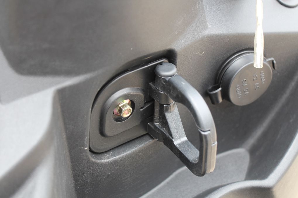 高颜值蚂蚱,漂亮巨型蚂蚱