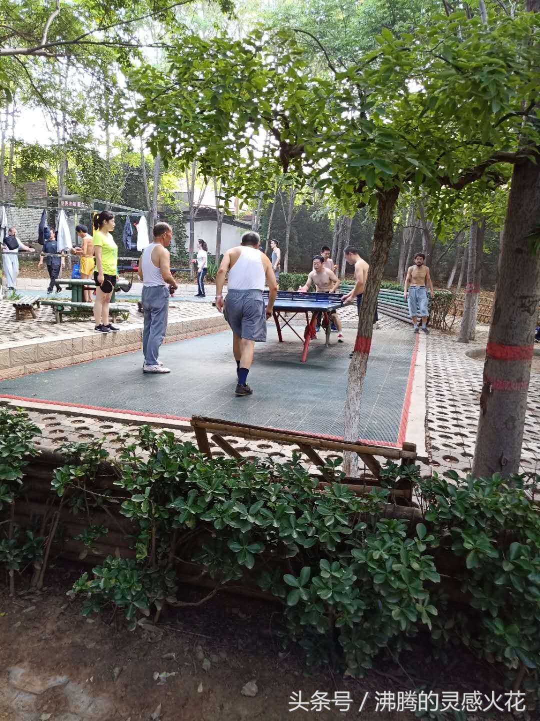 夏日运动时光记录,夏日美景和运动的快乐