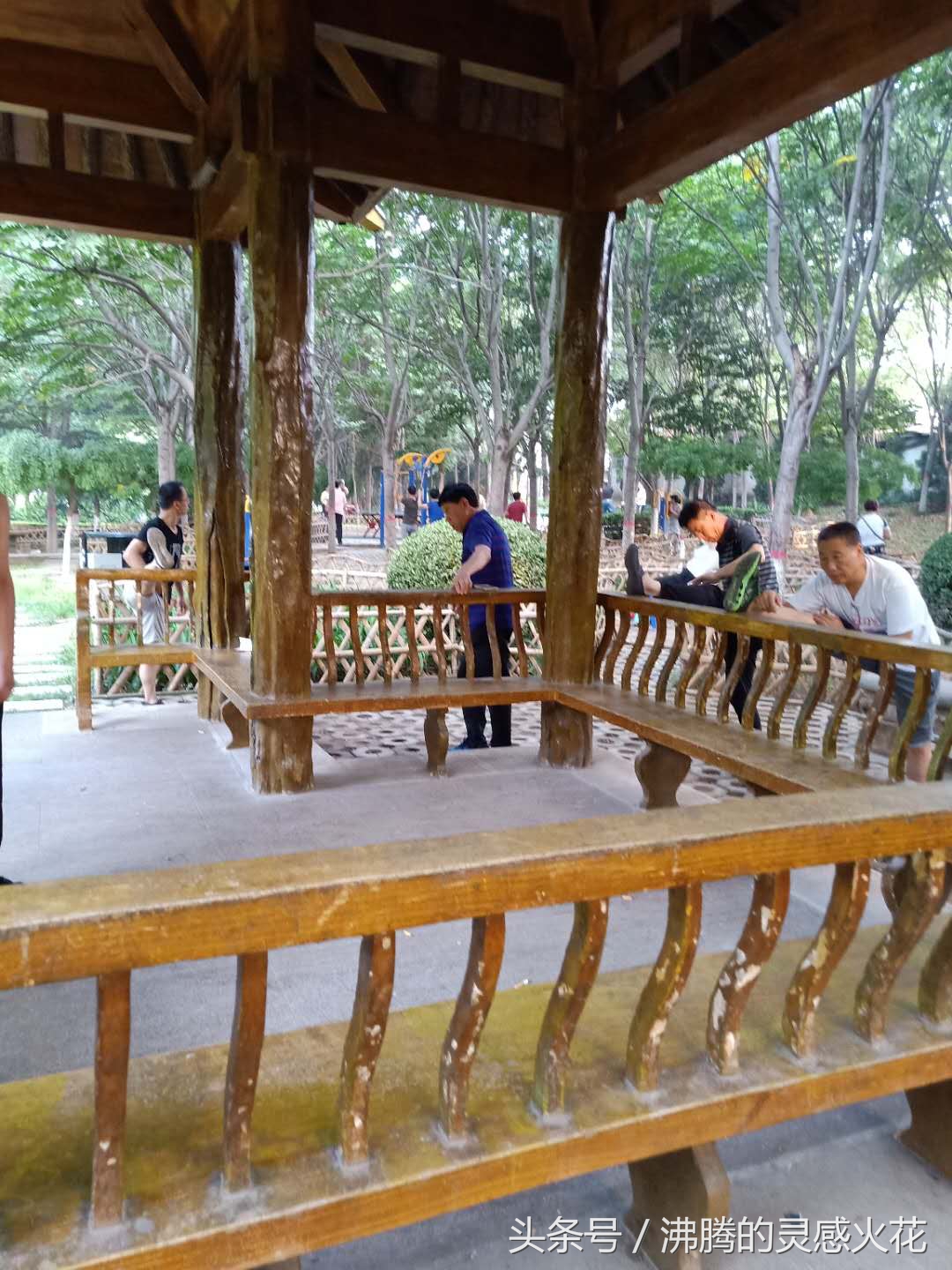 夏日运动时光记录,夏日美景和运动的快乐