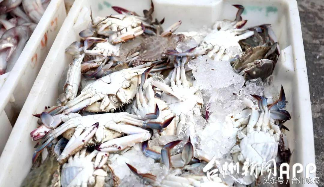 水潺批发价20元/斤跌到3元/斤！开渔，台州海鲜卖白菜价