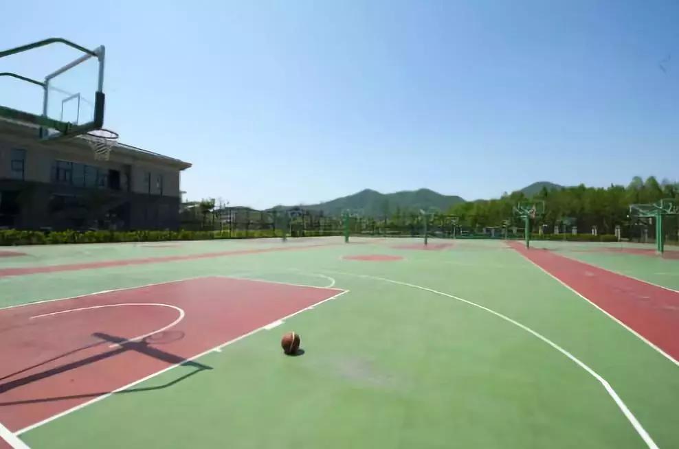 成都155个公共体育场馆免费,成都体育场有序开放