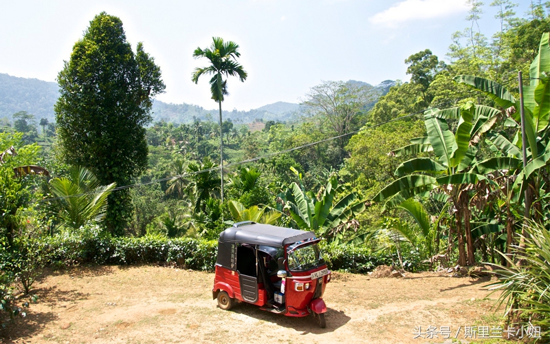 斯里兰卡外贸骗术,斯里兰卡宝石套路