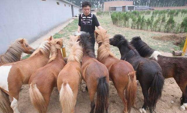 德云社最有钱富二代,德云社最有钱的人排行榜