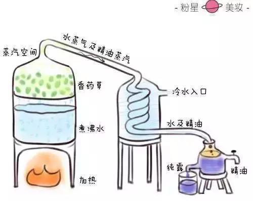 平价纯露哪个好用,小红书很火的大牌护肤品