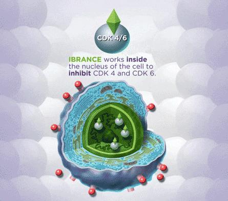 乳腺癌抗癌新药上市最新消息,抗癌新药问世6个月癌细胞消失
