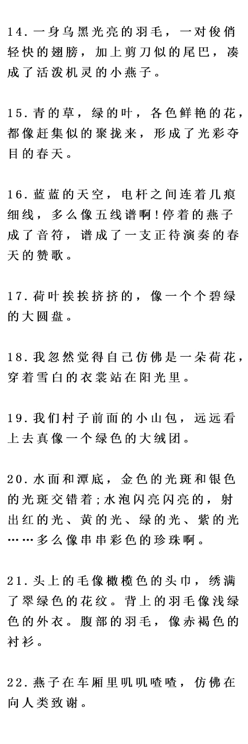 小学比喻句常见的比喻词,小学比喻句大全集锦